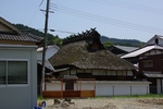 IMGP1423.jpg