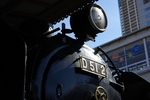 IMGP5037.jpg