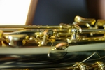IMGP8275.jpg